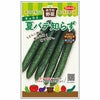 キュウリ 種 【 おうち野菜　夏バテ知らず 】 実咲小袋 ( キュウリの種 )