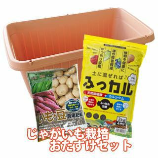馬鈴薯 | 菜園くらぶ 種と苗と園芸資材の専門店