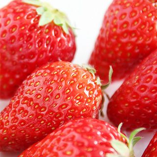 いちご苗 野菜苗 【イチゴ苗 東京おひさまベリー】3号ポット 苺苗 3株セット