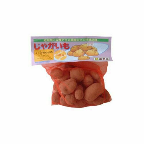 じゃがいも 種芋 【予約】 【 インカのめざめ 500g 入り】