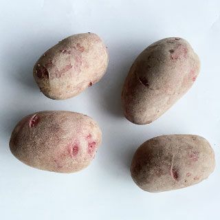 馬鈴薯 | 菜園くらぶ 種と苗と園芸資材の専門店