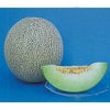 メロン 種 【 タカミ 】 10粒 ( メロンの種 )