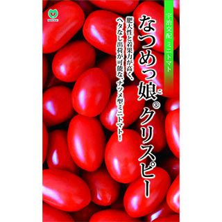ミニトマト 種 【 なつめっ娘クリスピー 】 小袋 ( トマトの種 )