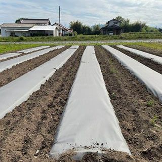 紙マルチ　厚み0.085mm×幅95cm×長さ20ｍ 菜園用