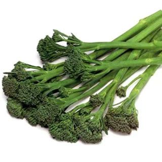 ブロッコリー苗 スティックセニョール 6本セット【予約販売】 野菜苗