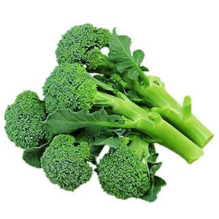  ブロッコリー苗 グリーンコーラル（なるなる） 6本セット【予約販売】 野菜苗