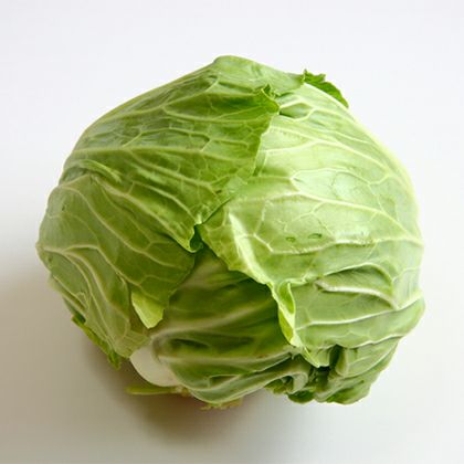 キャベツ 野菜苗 24本セット 【予約販売】 野菜苗 秋植付け