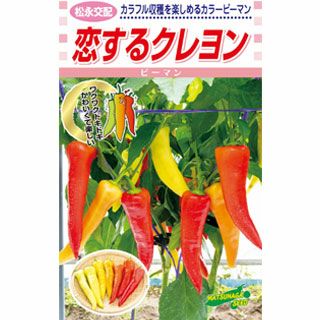 ピーマン 種 【 カラーピーマン　恋するクレヨン 】 小袋