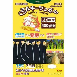 トウモロコシ 種 【 ミルキーシュガー80 】 2000粒