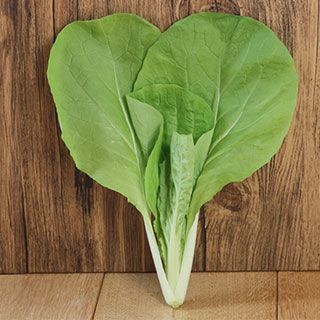  サントウサイ 種 【 灼熱サラダ菜っぱ 】 1L ( 山東菜の種 )