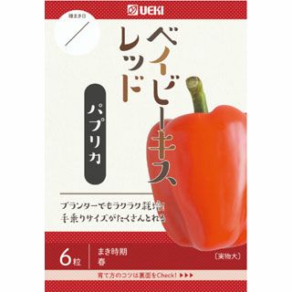  パプリカ 種 【 ベイビーキス　レッド 】 小袋 ピーマン　ミディパプリカ
