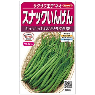 インゲン 種 【 つるなし菜豆 サクサク王子ネオ 】 実咲小袋