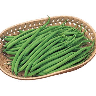 インゲン 種 【 つるなし菜豆 サクサク王子ネオ 】 実咲小袋