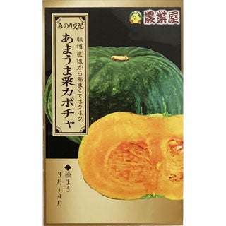 カボチャ 種 【 あまうま栗カボチャ 】 小袋
