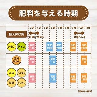 レモン・ミカン・柑橘類の肥料　500ｇ 園芸用品 肥料