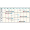 ホウレンソウ 種 【 寒兵衛 】 ＲＦ（40ｍｌ） エボプライム種子 ( ホウレンソウの種 )